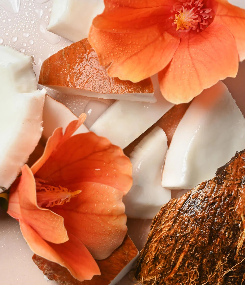 Aguas de coco